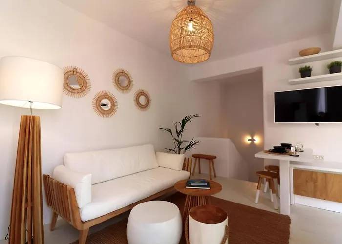 The Nine Graces - Apartements Agia Anna (Mykonos)